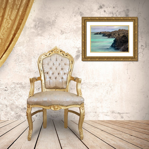 Lava rocks along tranquil shoreline of San Cristobal Island-Galapagos-Ecuador Gold Ornate Wood Framed Art Print with Double Matting by Jones, Adam