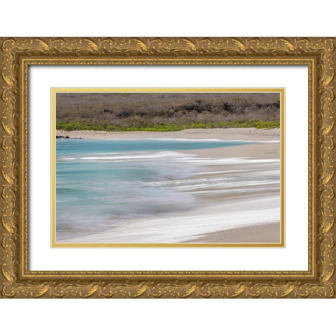 Surf pattern washing up on white sandy beach-Espanola Island-Galapagos Islands-Ecuador Gold Ornate Wood Framed Art Print with Double Matting by Jones, Adam