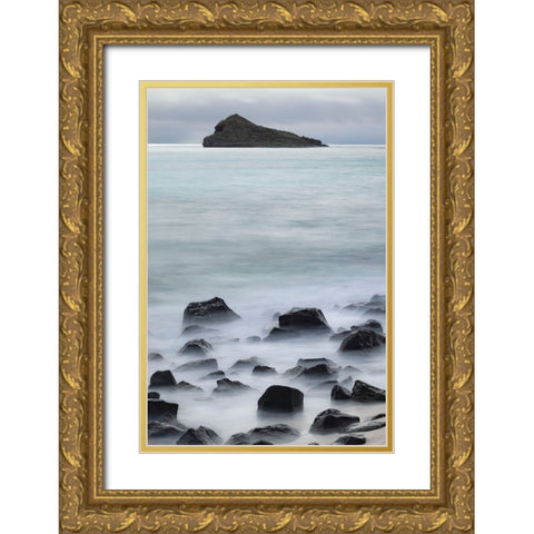 Waves crashing over lava rocks on shoreline of Espanola Island-Galapagos Islands-Ecuador Gold Ornate Wood Framed Art Print with Double Matting by Jones, Adam