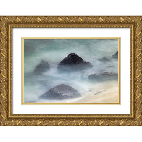 Waves crashing over lava rocks on shoreline of Espanola Island-Galapagos Islands-Ecuador Gold Ornate Wood Framed Art Print with Double Matting by Jones, Adam