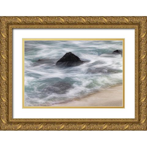 Waves crashing over lava rocks on shoreline of Espanola Island-Galapagos Islands-Ecuador Gold Ornate Wood Framed Art Print with Double Matting by Jones, Adam