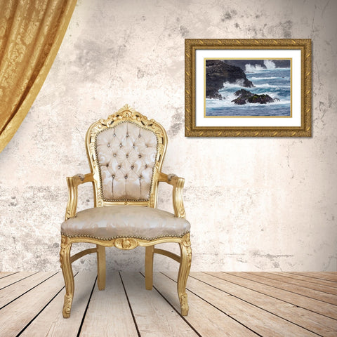 Waves crashing over lava rocks on shoreline of Espanola Island-Galapagos Islands-Ecuador Gold Ornate Wood Framed Art Print with Double Matting by Jones, Adam