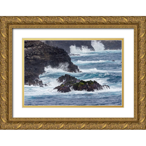 Waves crashing over lava rocks on shoreline of Espanola Island-Galapagos Islands-Ecuador Gold Ornate Wood Framed Art Print with Double Matting by Jones, Adam