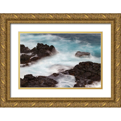 Waves crashing over lava rocks on shoreline of Espanola Island-Galapagos Islands-Ecuador Gold Ornate Wood Framed Art Print with Double Matting by Jones, Adam