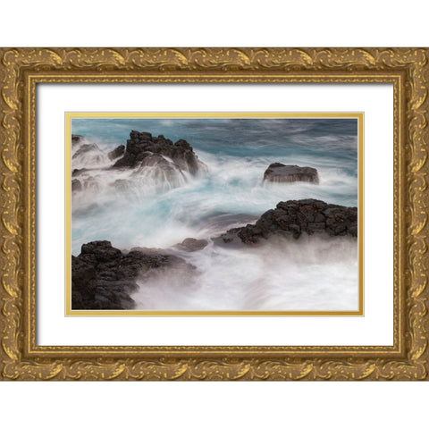 Waves crashing over lava rocks on shoreline of Espanola Island-Galapagos Islands-Ecuador Gold Ornate Wood Framed Art Print with Double Matting by Jones, Adam