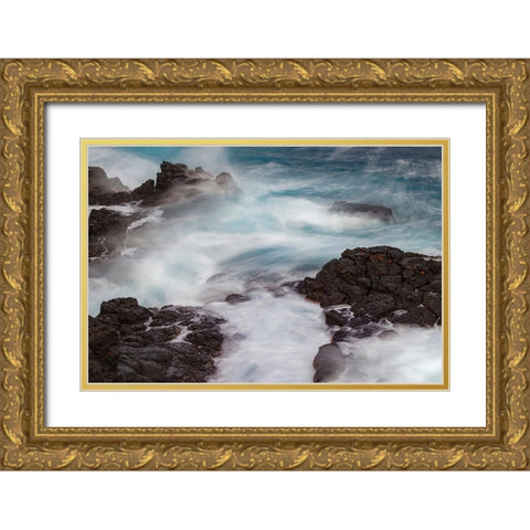 Waves crashing over lava rocks on shoreline of Espanola Island-Galapagos Islands-Ecuador Gold Ornate Wood Framed Art Print with Double Matting by Jones, Adam