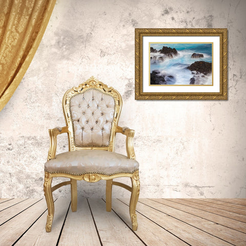 Waves crashing over lava rocks on shoreline of Espanola Island-Galapagos Islands-Ecuador Gold Ornate Wood Framed Art Print with Double Matting by Jones, Adam