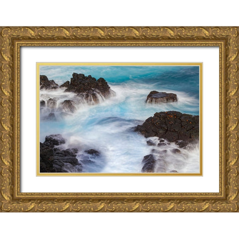 Waves crashing over lava rocks on shoreline of Espanola Island-Galapagos Islands-Ecuador Gold Ornate Wood Framed Art Print with Double Matting by Jones, Adam
