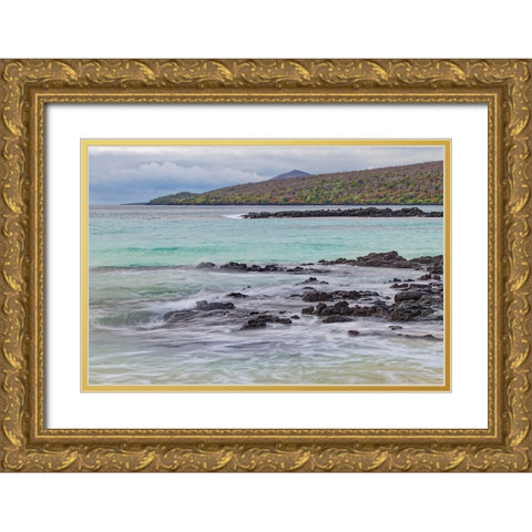 Small waves on lava rocks along shoreline of Floreana Island-Galapagos Islands-Ecuador Gold Ornate Wood Framed Art Print with Double Matting by Jones, Adam