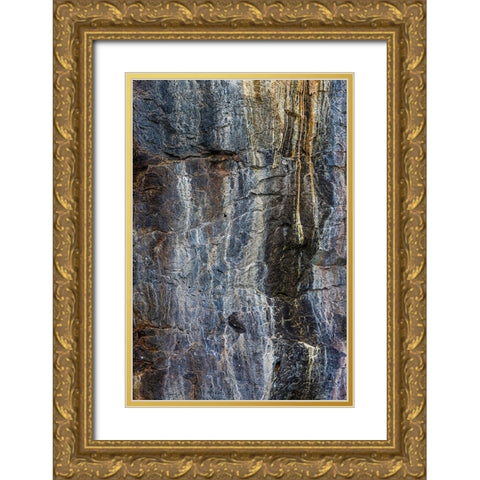 Pattern in rock cliffs of Genovesa Island-Galapagos Islands-Ecuador Gold Ornate Wood Framed Art Print with Double Matting by Jones, Adam