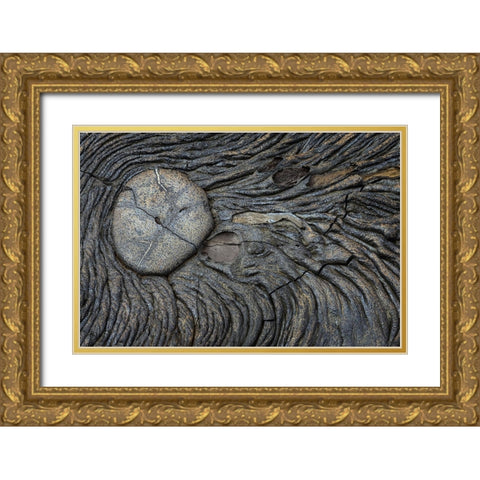 Recent Pahoehoe lava flow-Sullivan Bay-Santiago Island-Galapagos Islands-Ecuador Gold Ornate Wood Framed Art Print with Double Matting by Jones, Adam