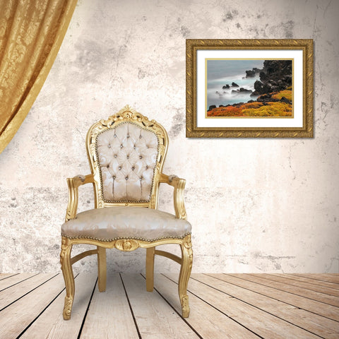 Rocky shoreline covered in Sesuvium-South Plaza Island-Galapagos Islands-Ecuador Gold Ornate Wood Framed Art Print with Double Matting by Jones, Adam