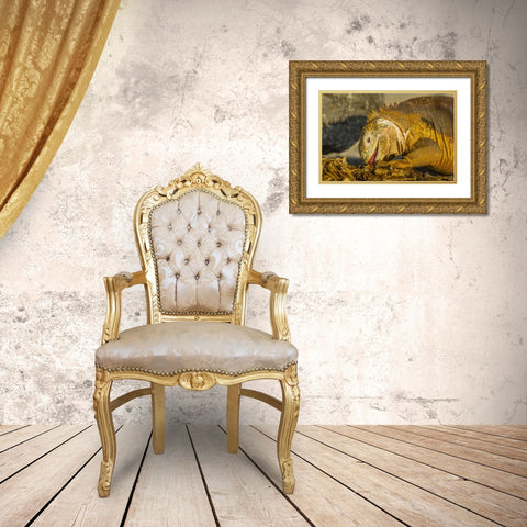 Ecuador, Galapagos NP Close-up of land iguana Gold Ornate Wood Framed Art Print with Double Matting by Illg, Cathy and Gordon