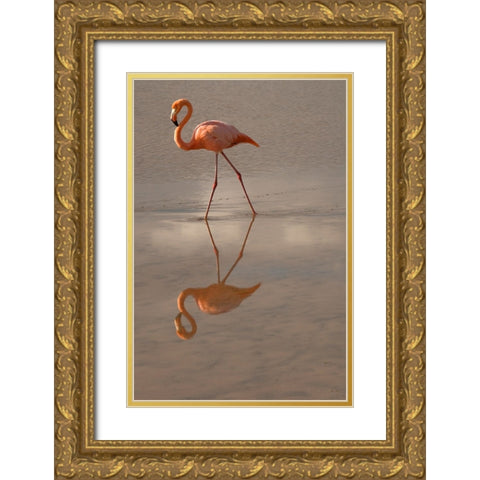 Greater Flamingo-Ecuador Gold Ornate Wood Framed Art Print with Double Matting by Sederquist, Betty