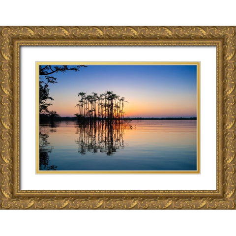 Equator in the Amazon rainforest- Palm trees in Laguna Grande. Gold Ornate Wood Framed Art Print with Double Matting by Sederquist, Betty
