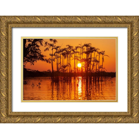 Equator in the Amazon rainforest- trees in Laguna Grande. Gold Ornate Wood Framed Art Print with Double Matting by Sederquist, Betty