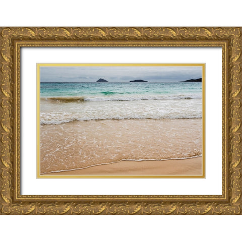 Floreana Island-Galapagos islands-Ecuador Gold Ornate Wood Framed Art Print with Double Matting by Pitamitz, Sergio