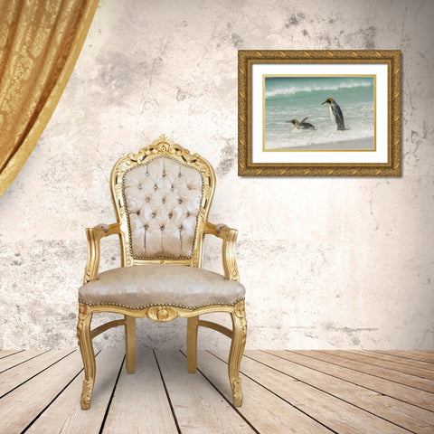 East Falkland King penguins in beach surf Gold Ornate Wood Framed Art Print with Double Matting by Illg, Cathy and Gordon
