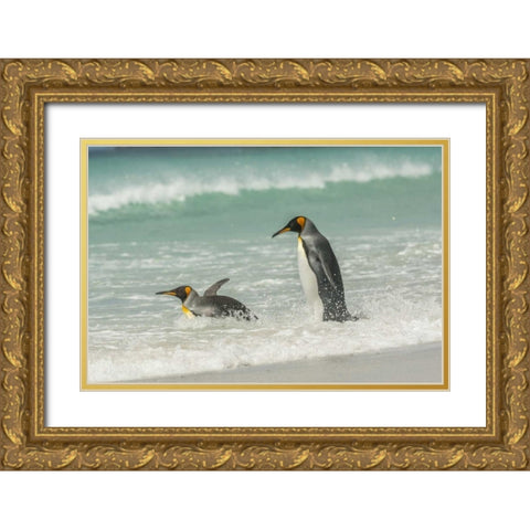 East Falkland King penguins in beach surf Gold Ornate Wood Framed Art Print with Double Matting by Illg, Cathy and Gordon