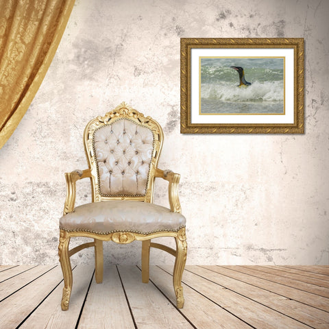 East Falkland King penguin in surf Gold Ornate Wood Framed Art Print with Double Matting by Illg, Cathy and Gordon