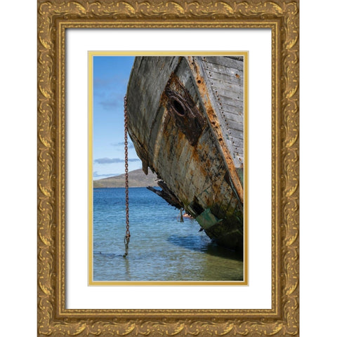 Falkland Islands-New Island Grounded and abandoned ship on shore  Gold Ornate Wood Framed Art Print with Double Matting by Jaynes Gallery