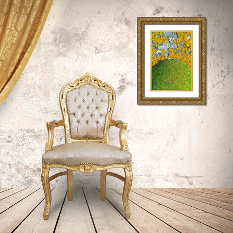 Moss and lichen-Saunders Island-Falkland Islands Gold Ornate Wood Framed Art Print with Double Matting by Su, Keren
