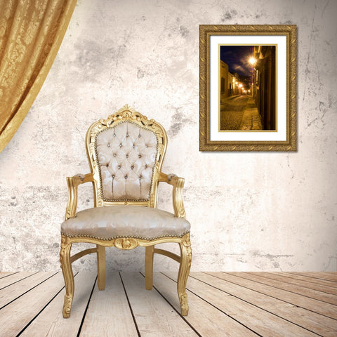 Mexico, San Miguel de Allende, Street scene Gold Ornate Wood Framed Art Print with Double Matting by Rotenberg, Nancy