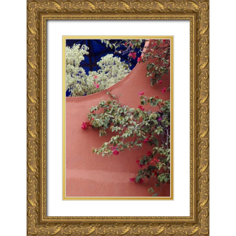 Mexico, Bougainvillea and stucco wall Gold Ornate Wood Framed Art Print with Double Matting by Rotenberg, Nancy