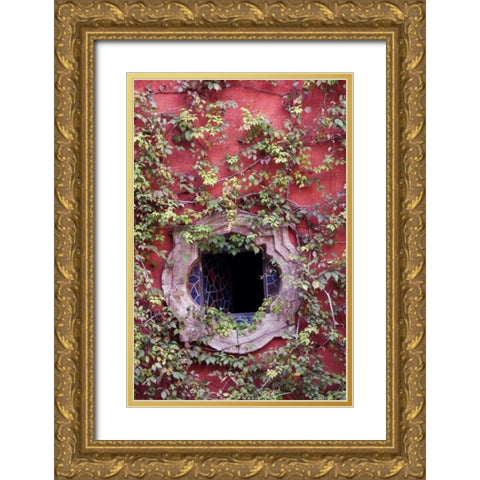 Mexico, Ivy on Stucco Wall with Tile Window Gold Ornate Wood Framed Art Print with Double Matting by Rotenberg, Nancy