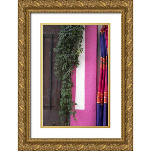 Mexico, Puerto Vallarta Serape hanging by a wall Gold Ornate Wood Framed Art Print with Double Matting by Ross, Nancy ,  Steve