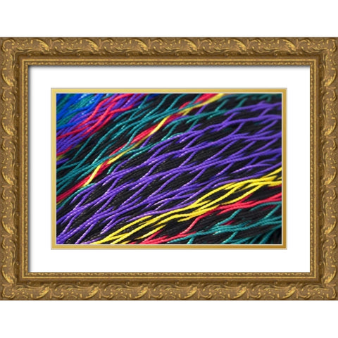 Mexico, Puerto Vallarta Patterns in fishing nets Gold Ornate Wood Framed Art Print with Double Matting by Ross, Nancy ,  Steve