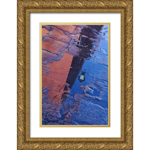 Mexico Street water puddle with lamp reflection Gold Ornate Wood Framed Art Print with Double Matting by Rotenberg, Nancy