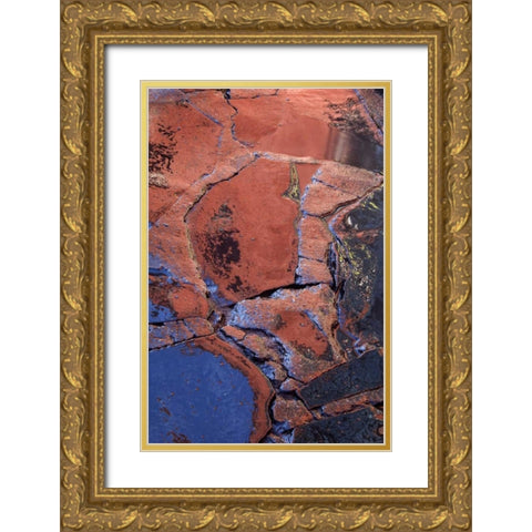 Mexico Patterns on wet cobblestone street Gold Ornate Wood Framed Art Print with Double Matting by Rotenberg, Nancy