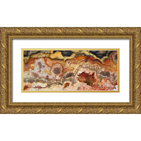 Mexico Close-up of Crazy Lace Agate stone Gold Ornate Wood Framed Art Print with Double Matting by Kirkland, Dennis