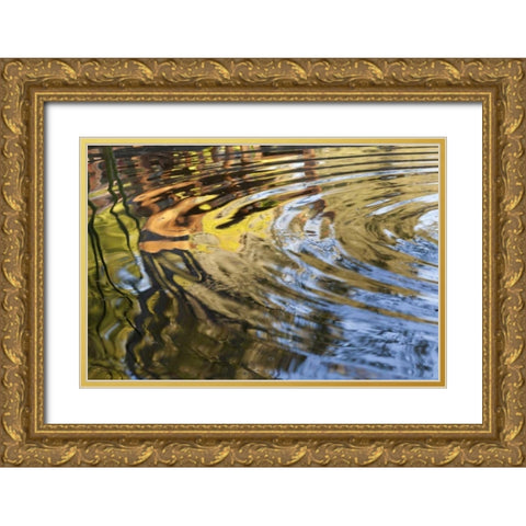 Mexico, Tecate Ripples in pool Gold Ornate Wood Framed Art Print with Double Matting by Paulson, Don