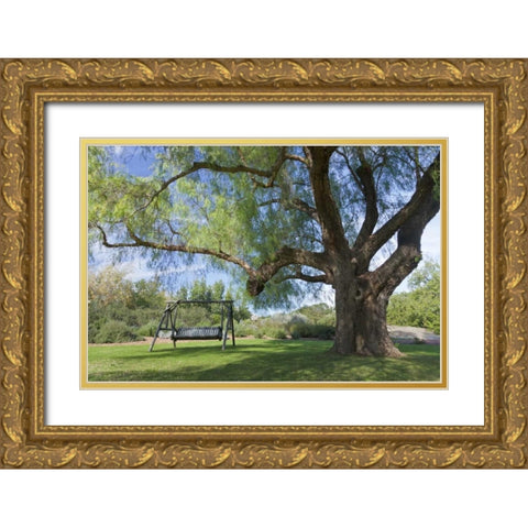 Mexico, Tecate Bench swing under large tree Gold Ornate Wood Framed Art Print with Double Matting by Paulson, Don