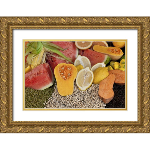 Mexico, Tecate Display of fruit and grains Gold Ornate Wood Framed Art Print with Double Matting by Paulson, Don
