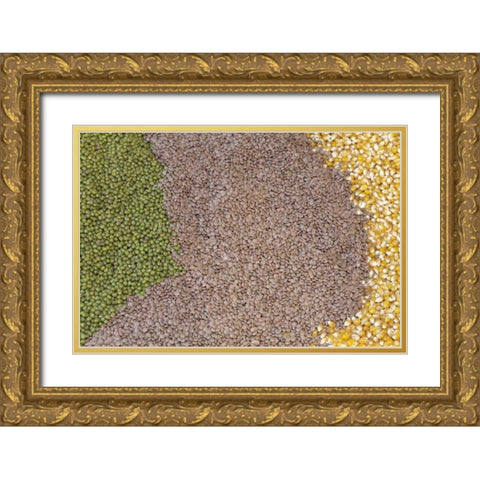 Mexico, Tecate Display of grains Gold Ornate Wood Framed Art Print with Double Matting by Paulson, Don
