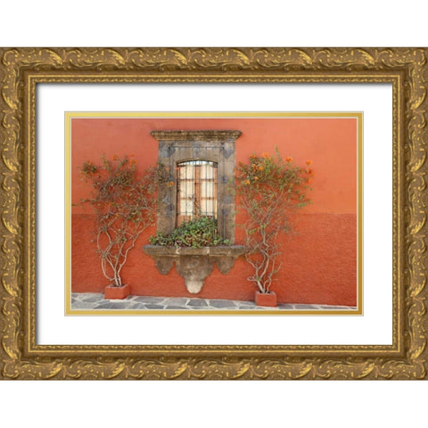 Mexico, San Miguel de Allende Window and plants Gold Ornate Wood Framed Art Print with Double Matting by Paulson, Don