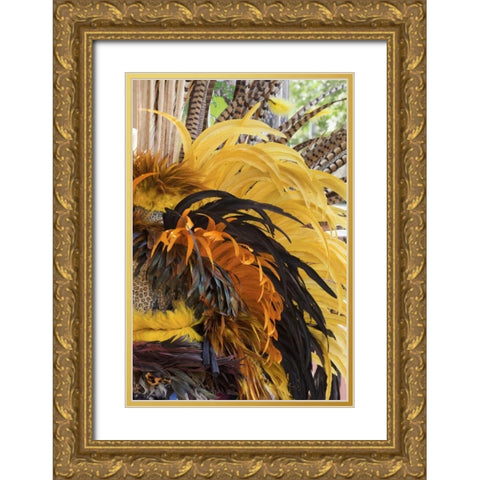 Mexico, San Miguel de Allende Aztec headdress Gold Ornate Wood Framed Art Print with Double Matting by Paulson, Don