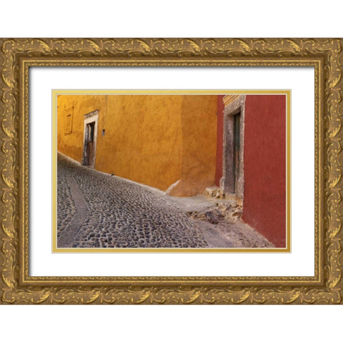 Mexico Painted buildings on cobblestone street Gold Ornate Wood Framed Art Print with Double Matting by Paulson, Don