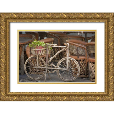 Mexico, Guanajuato Bicycle with potted plant Gold Ornate Wood Framed Art Print with Double Matting by Paulson, Don