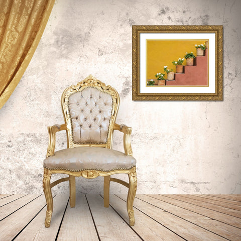 Mexico Potted flowers on staircase Gold Ornate Wood Framed Art Print with Double Matting by Paulson, Don