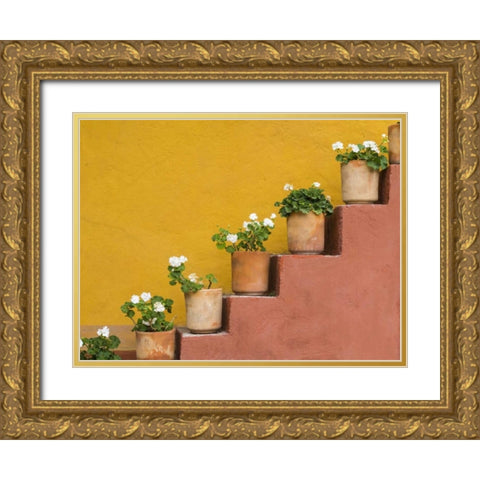 Mexico Potted flowers on staircase Gold Ornate Wood Framed Art Print with Double Matting by Paulson, Don