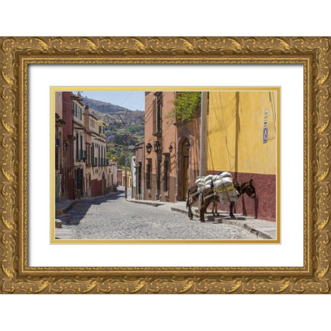 Mexico Two laden donkeys on sidewalk Gold Ornate Wood Framed Art Print with Double Matting by Paulson, Don