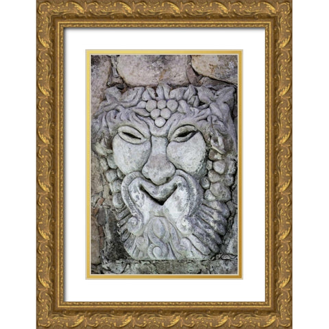 Mexico Detail of lion sculpture Gold Ornate Wood Framed Art Print with Double Matting by Paulson, Don