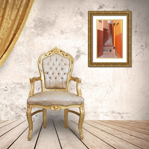 Mexico, Guanajuato Close-up of colorful stairway Gold Ornate Wood Framed Art Print with Double Matting by Paulson, Don
