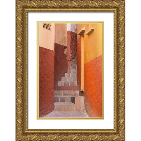 Mexico, Guanajuato Close-up of colorful stairway Gold Ornate Wood Framed Art Print with Double Matting by Paulson, Don
