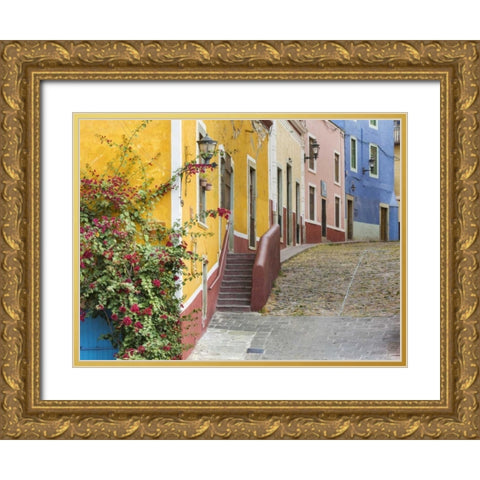 Mexico, Guanajuato View of street and buildings Gold Ornate Wood Framed Art Print with Double Matting by Paulson, Don