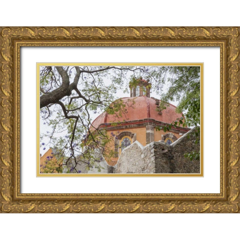 Mexico View of San Juan de Dios church Gold Ornate Wood Framed Art Print with Double Matting by Paulson, Don